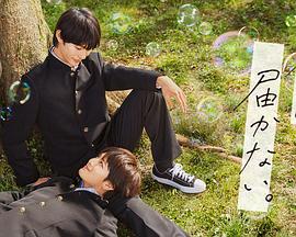 蓝光高清版TOP在线观看海报剧照